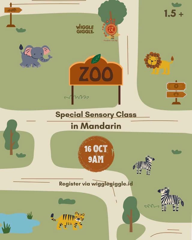 class_Special Sensory Class - Zoo